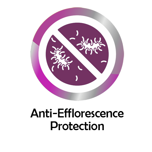 Logo Item