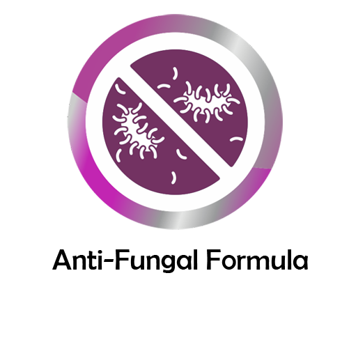 Logo Item